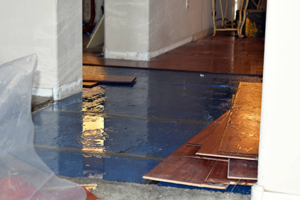 Professional Sewage Cleanup technician working in Holtsville, NY